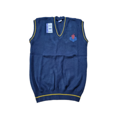 Punjab College Boy Jersey Sleeveless