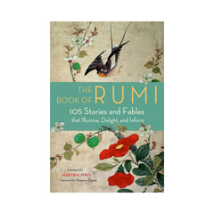 The Book Of Rumi 105 Stories And Fables by Maryam Mafi