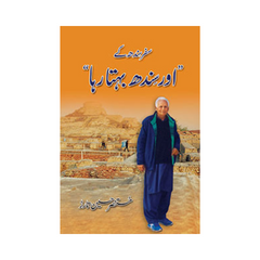 Aur Sindh Behta Rha by Mustansir Hussain Tarar