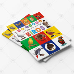Husnain Hard Qaida Birds CD Size
