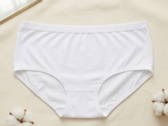 Flourish Basic Ladies Brief