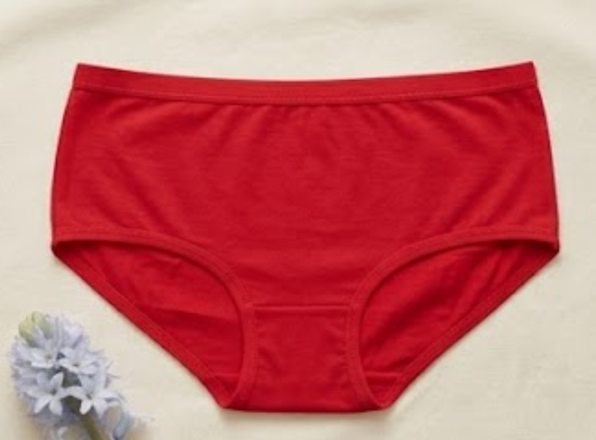 Flourish Basic Ladies Brief