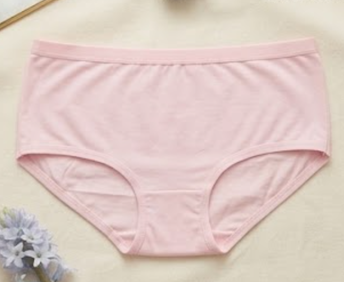 Flourish Basic Ladies Brief