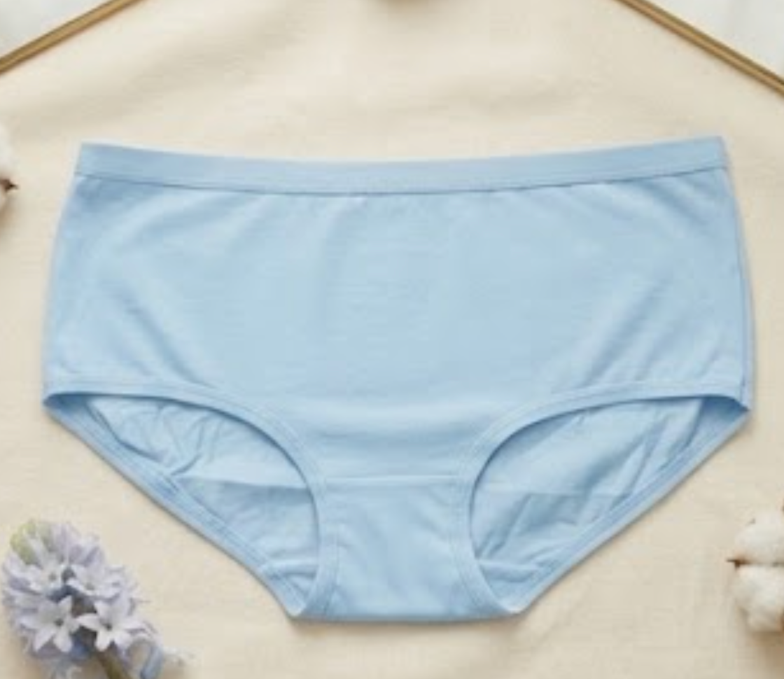 Flourish Basic Ladies Brief