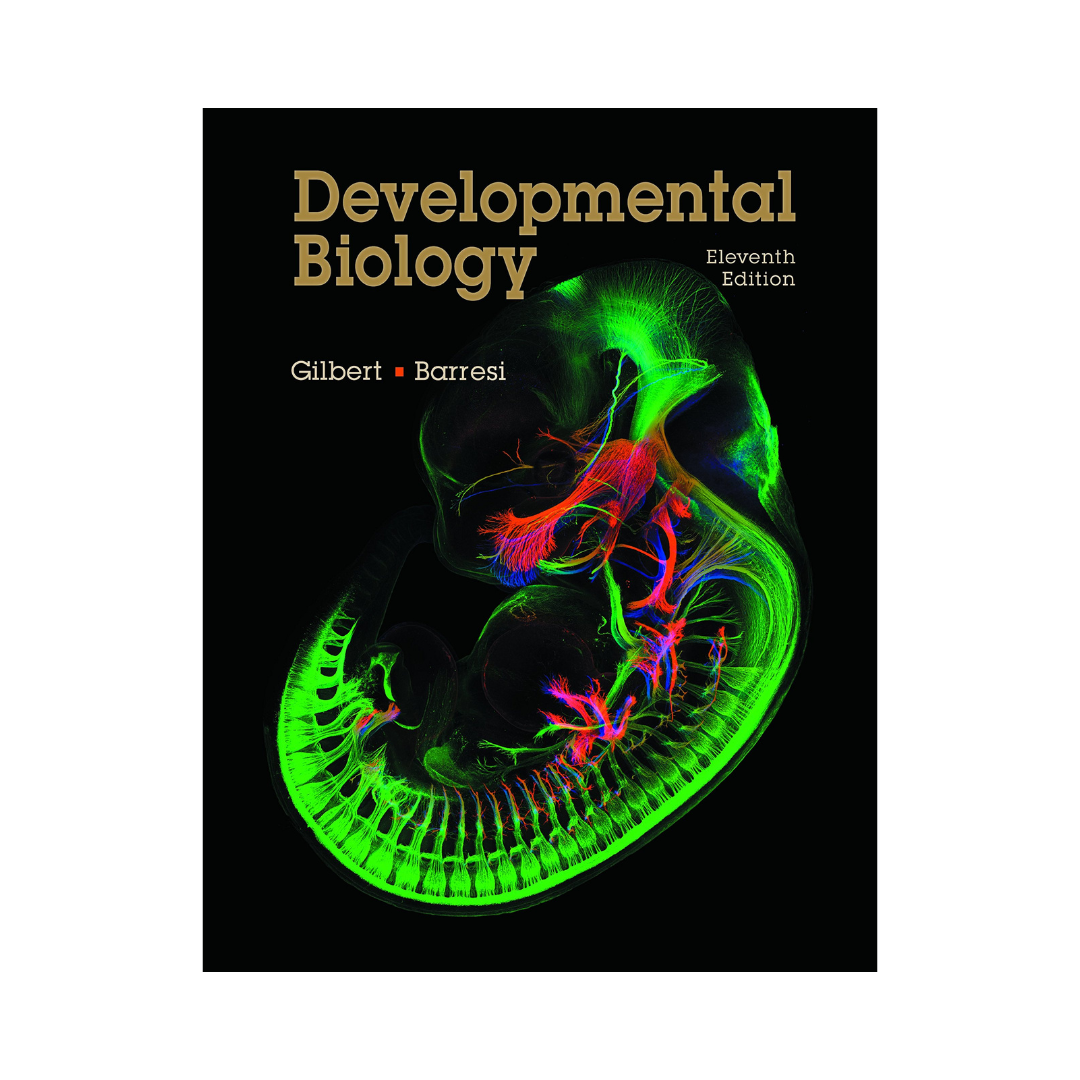 Developmental Biology 11th Edition by Scott F Gilbert