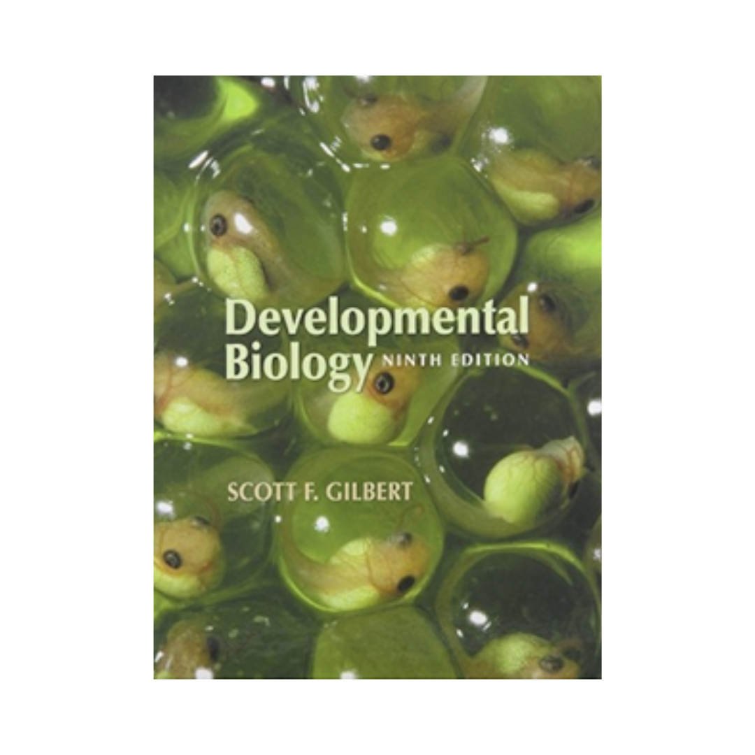 Developmental Biology 9th Edition by Scott F Gilbert