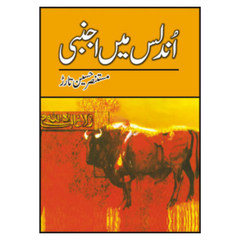 Oundlas Main Ajnabi by Mustansir Hussain Tarar