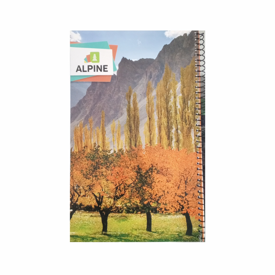 Alpine Pakistan Ring Register Broad Line 320 Pages